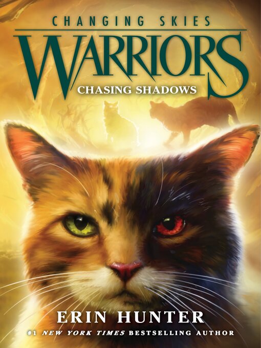 Cover image for Chasing Shadows